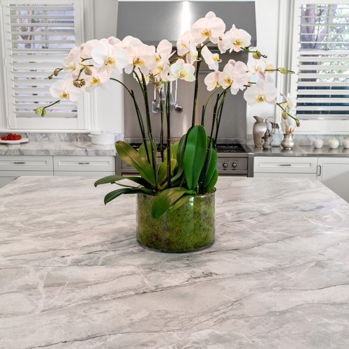 Bianco Alpi Quartzite Kitchen islands and benchtop